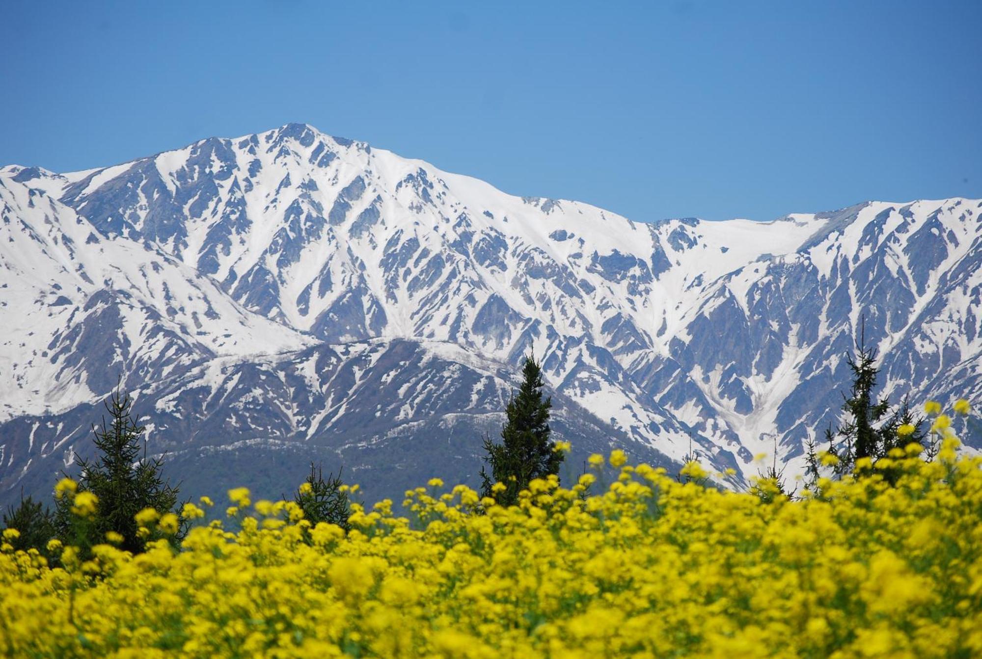 Highland Hotel Hakuba